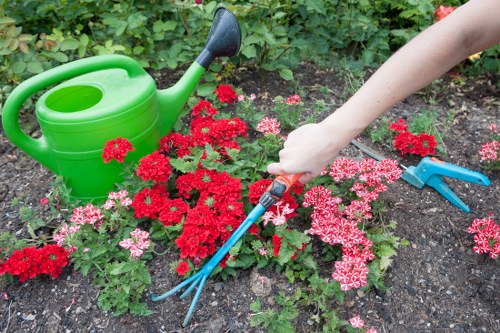 Inspector examining planted beds during a complaint investigation