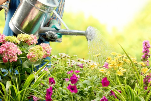 A gardener watering a vibrant flower bed in a garden, with a metal watering can held by a gloved hand visible in the foreground. The flower bed features a variety of colorful flowers, including pink, purple, and yellow blooms, surrounded by lush green foliage. The garden area is well-maintained, demonstrating healthy plant growth and tidy borders. Bright sunlight and a clear sky suggest a warm, sunny day ideal for outdoor gardening. The background shows blurred greenery, indicating a spacious outdoor setting typical of residential gardens in Poplar, London, connecting to professional gardening and landscaping services offered by Gardening Services Poplar.